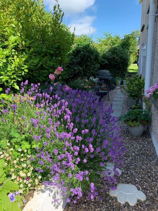 Entire 2 Bed Cottage - Llangwm Llangwm  Exterior photo